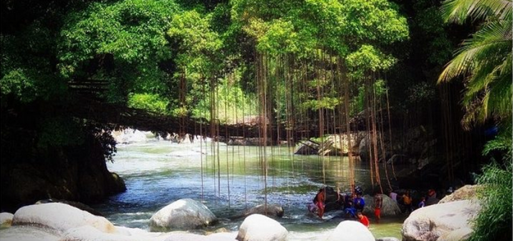 Keren Wisata Jembatan Akar Padang